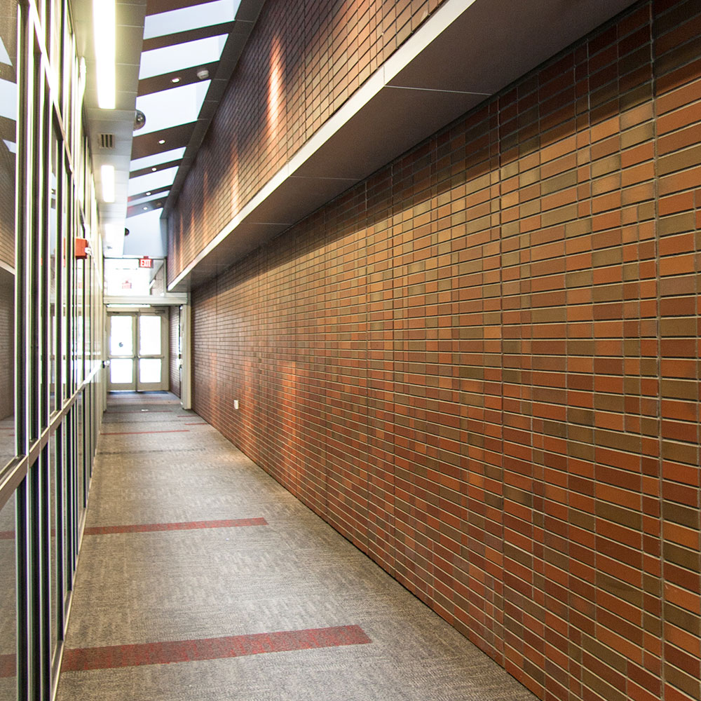 Thin brick wall products