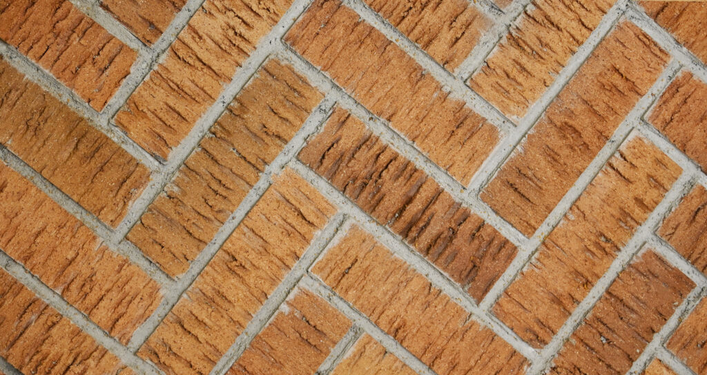 255Bark#2