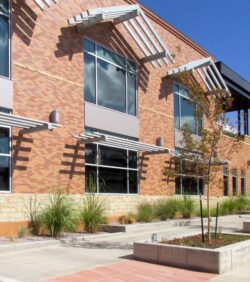 Douglas Library Field Applied Thin Brick Example