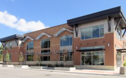 Douglas Library Field Applied Thin Brick Example