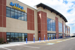 Naperville Yard Pre-Cast Thin Brick Example